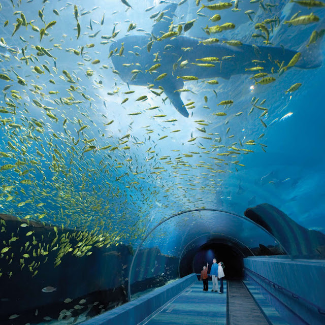 2 بالصور و الفيديوا : أكبر حوض سمك في العالم يحتوى على أكثر من مائة الف كائن بحري