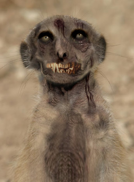 Zombie Meerkat