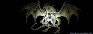 Two Dragon Facebook Cover Photos