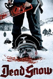 Zombis nazis (2009)