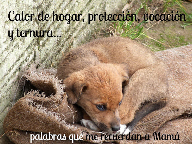 tarjetas de animales para el dia de la madre