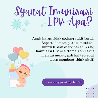 imunisasi ipv untuk usia berapa imunisasi ipv disuntik dimana imunisasi ipv untuk apa