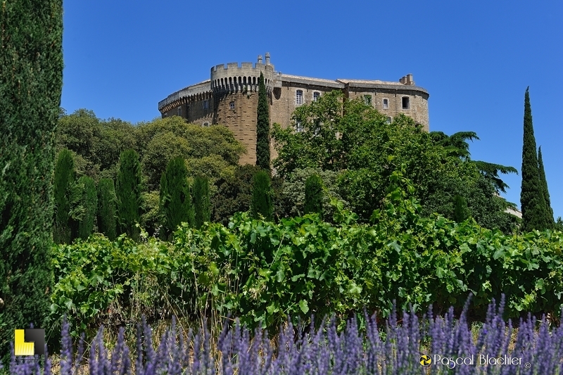 le château de suze la rousse vu des lavandes photo blachier pascal