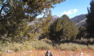 Lamoille Canyon