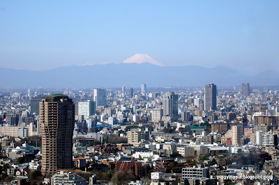 views of mount fuji