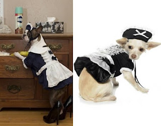 Photos of Hilarious Dogs in Costumes