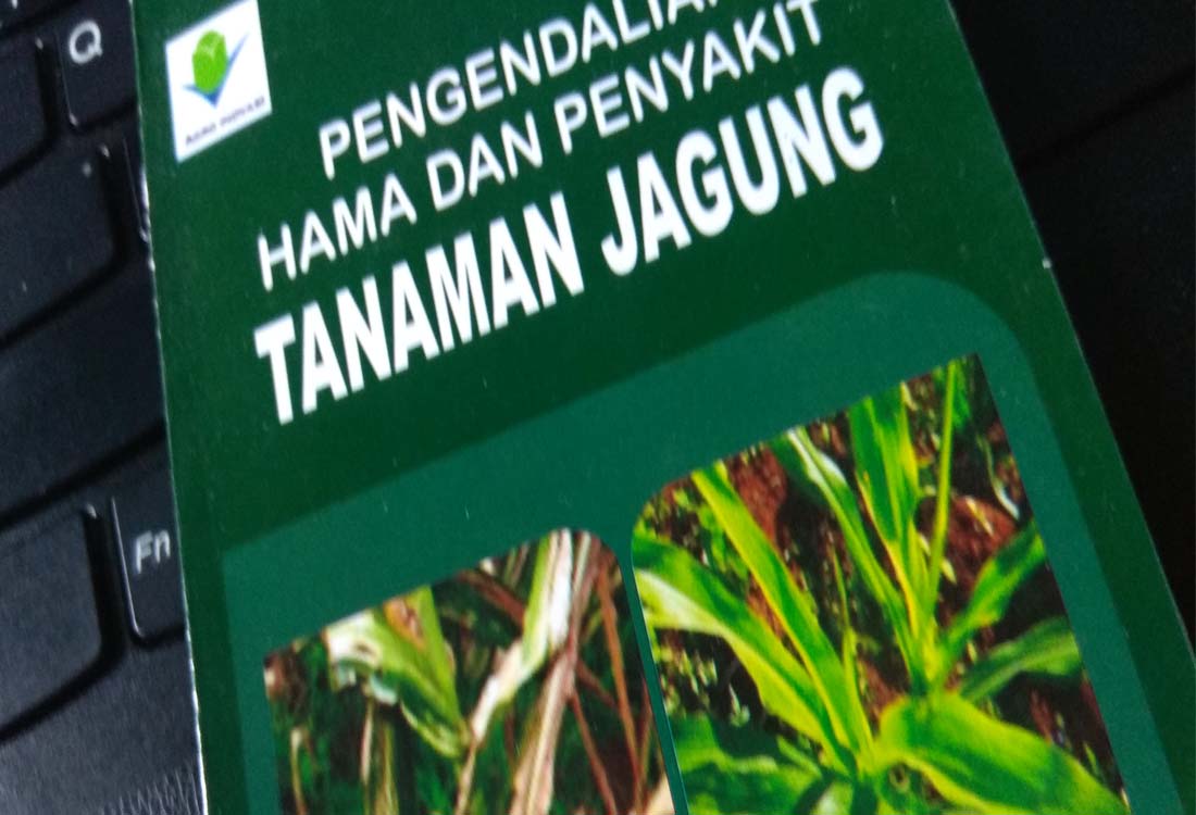 Pengendalian Hama dan Penyakit Pada Tanaman Jagung Zea 