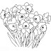 Summer Flowers Coloring Pages Printable