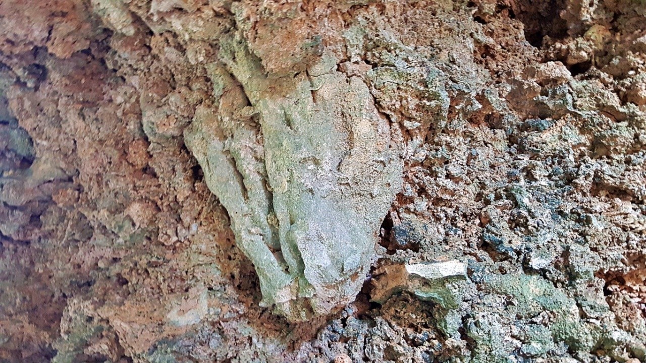 cave-walls with a lot of fossilized matters at Canhugas Nature Park in Hernani Eastern Samar