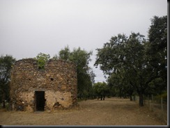 DSCN1485