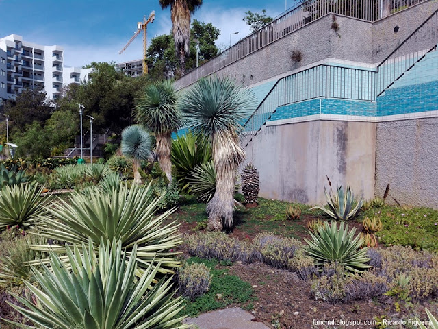 JARDIM PANORÂMICO - FUNCHAL -
 ILHA DA MADEIRA