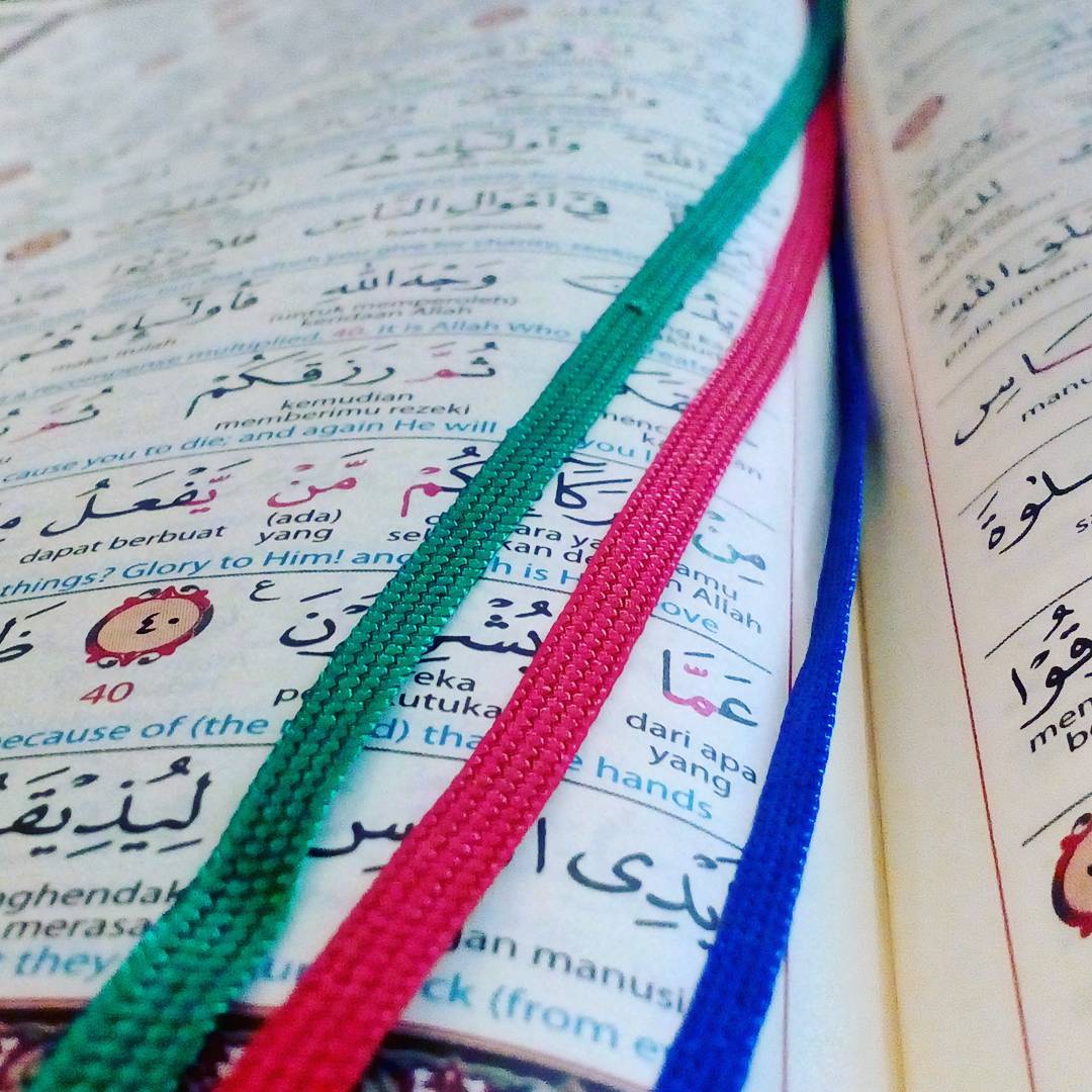 Jual Al Quran Berkualitas, Termurah, dan Terpercaya : Al ...