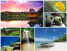 36 Kawasan Wisata Halmahera Utara Yang Wajib Dikunjungi (Provinsi Maluku Utara)