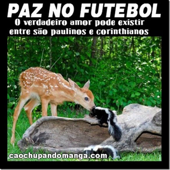 engraçadas (367)