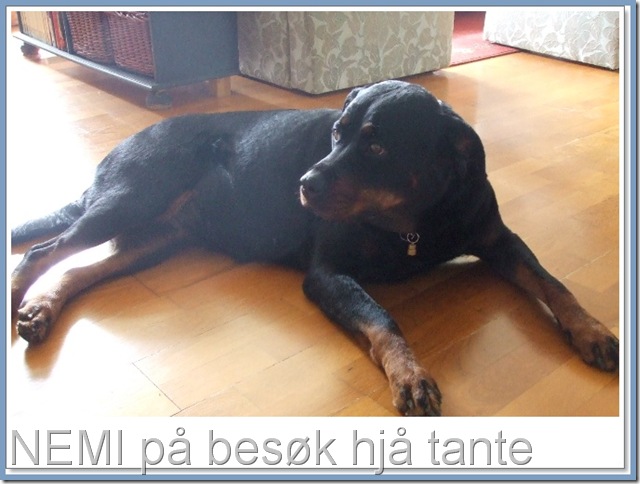 Til bloggen 015-tile