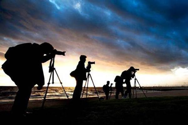 Wildlife Photography Courses