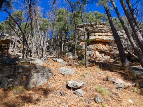 HikingMilitarySinkholeTrail-3-2013-11-7-20-56.jpg