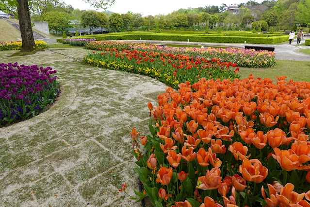 鳥取県西伯郡南部町鶴田 とっとり花回廊 ヨーロピアンガーデン チューリップ