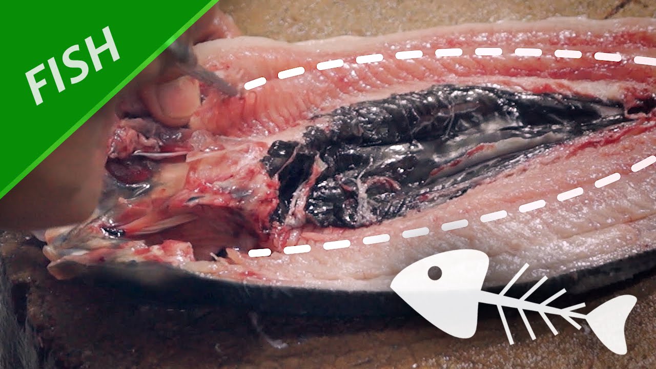 How to Remove Milkfish Bones at Home? - Milkfish Supplier, Milkfish Fresh  Market, Milkfish Fillet, Bangus Fish Fillet, Milkfish Fresh Meat