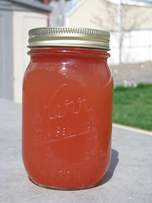 Rhubarb and Sunshine Juice Concentrate