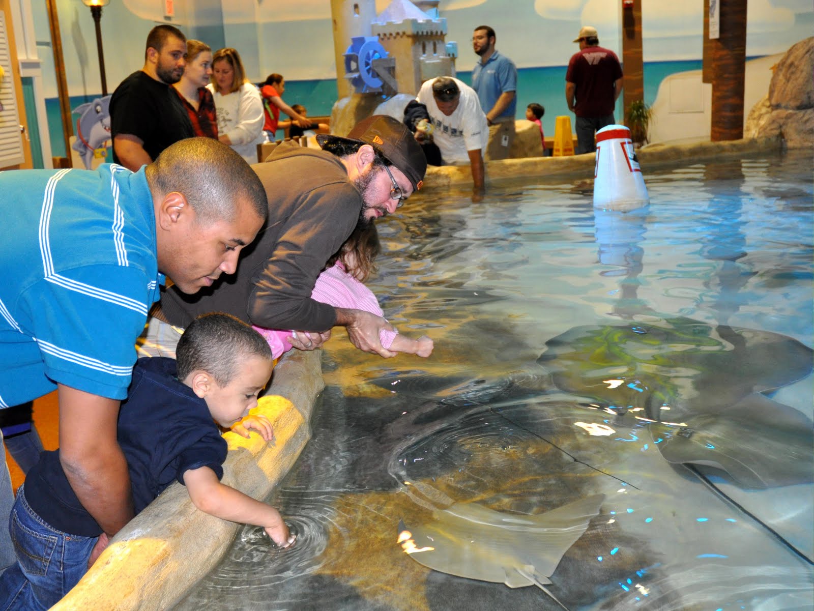 Taking on The World With Our Boy: Adventure Aquarium in Camden, New Jersey - ADventure%2BAquarium%2Bin%2BCamDen%2B037