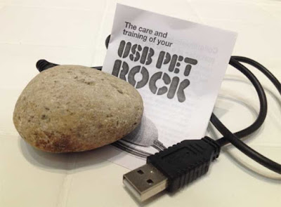 pet rock inovasi teknologi tidak berguna