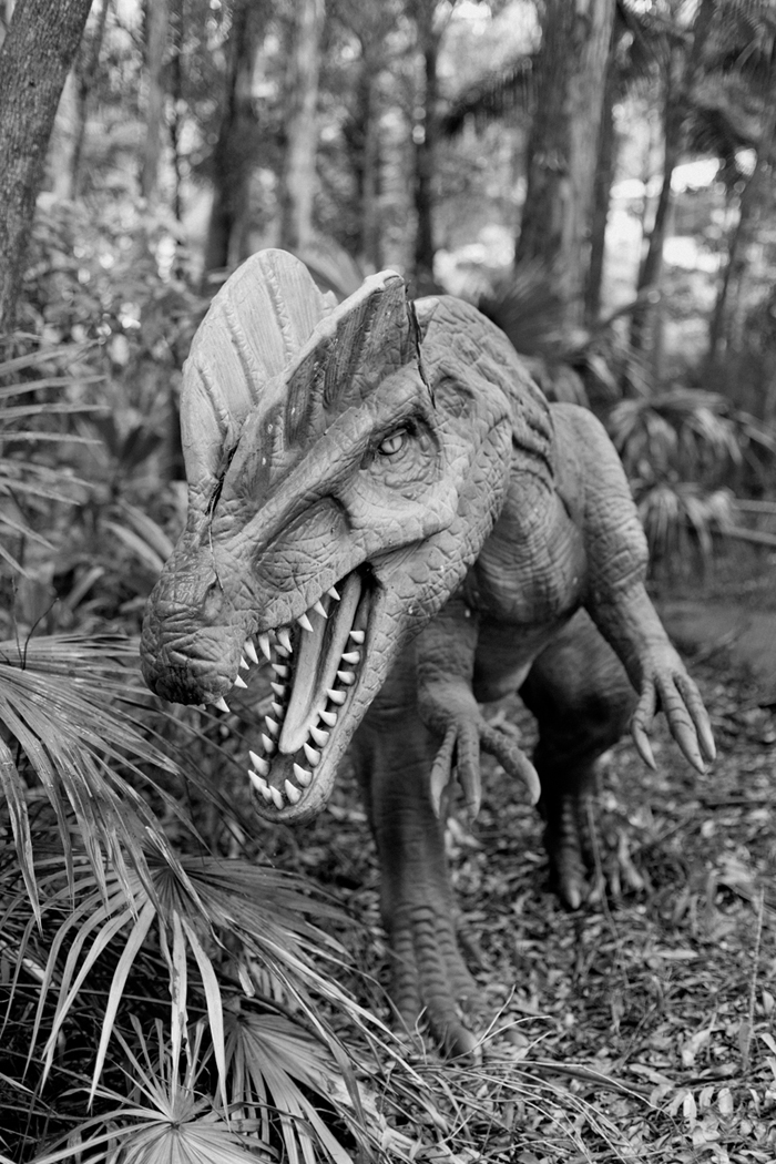 palmersaurus black and white photo