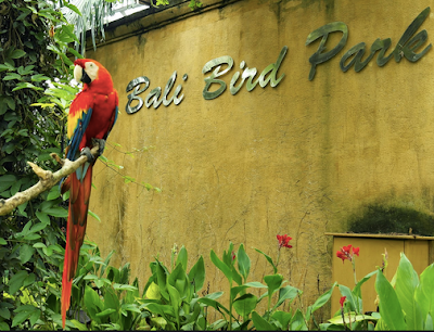 Bali Bird Park, What we do in Bali with 1001Panduan Turis recommendation - Tour Package Bali