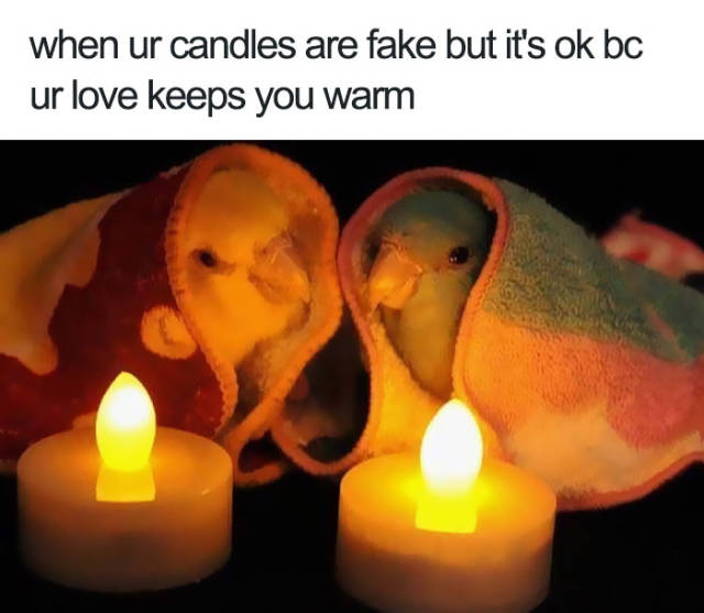 When ur candles are fake but it's ok bc ur love keeps you warm.