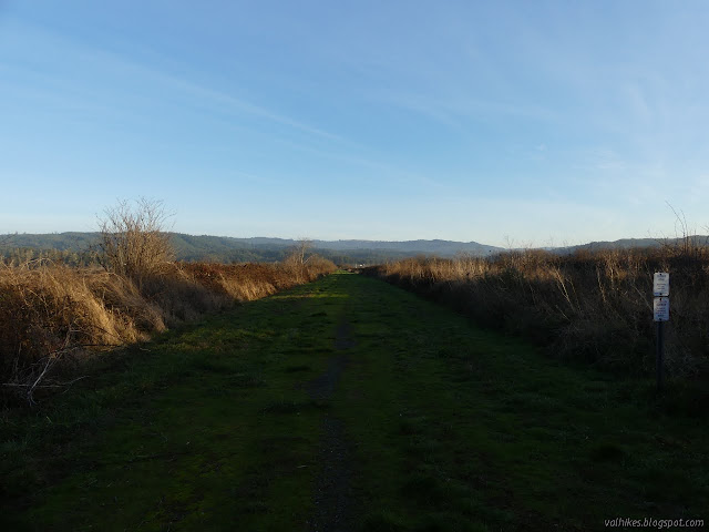 more long, narrow, flat expanse between brush