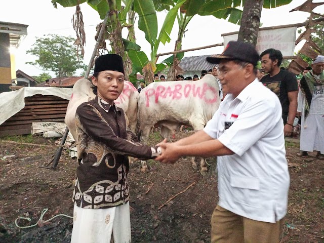 Prabowo Subianto Serahkan Dua Sapi Kurban ke Pesantren Nurul Falah
