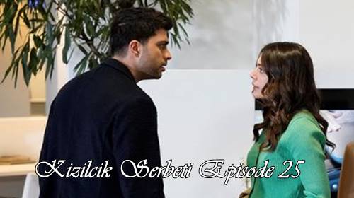 episode 25 kizilcik serbeti