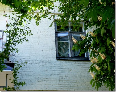 P1080475