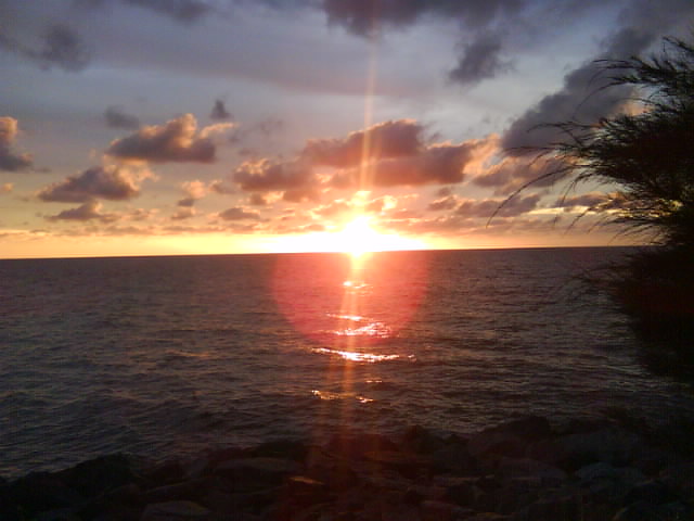 My sun