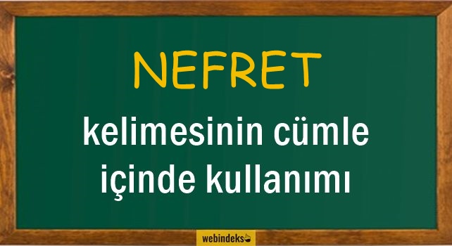 Nefret İle İlgili Cümleler, Nefret Kısa Cümle İçinde Kullanımı