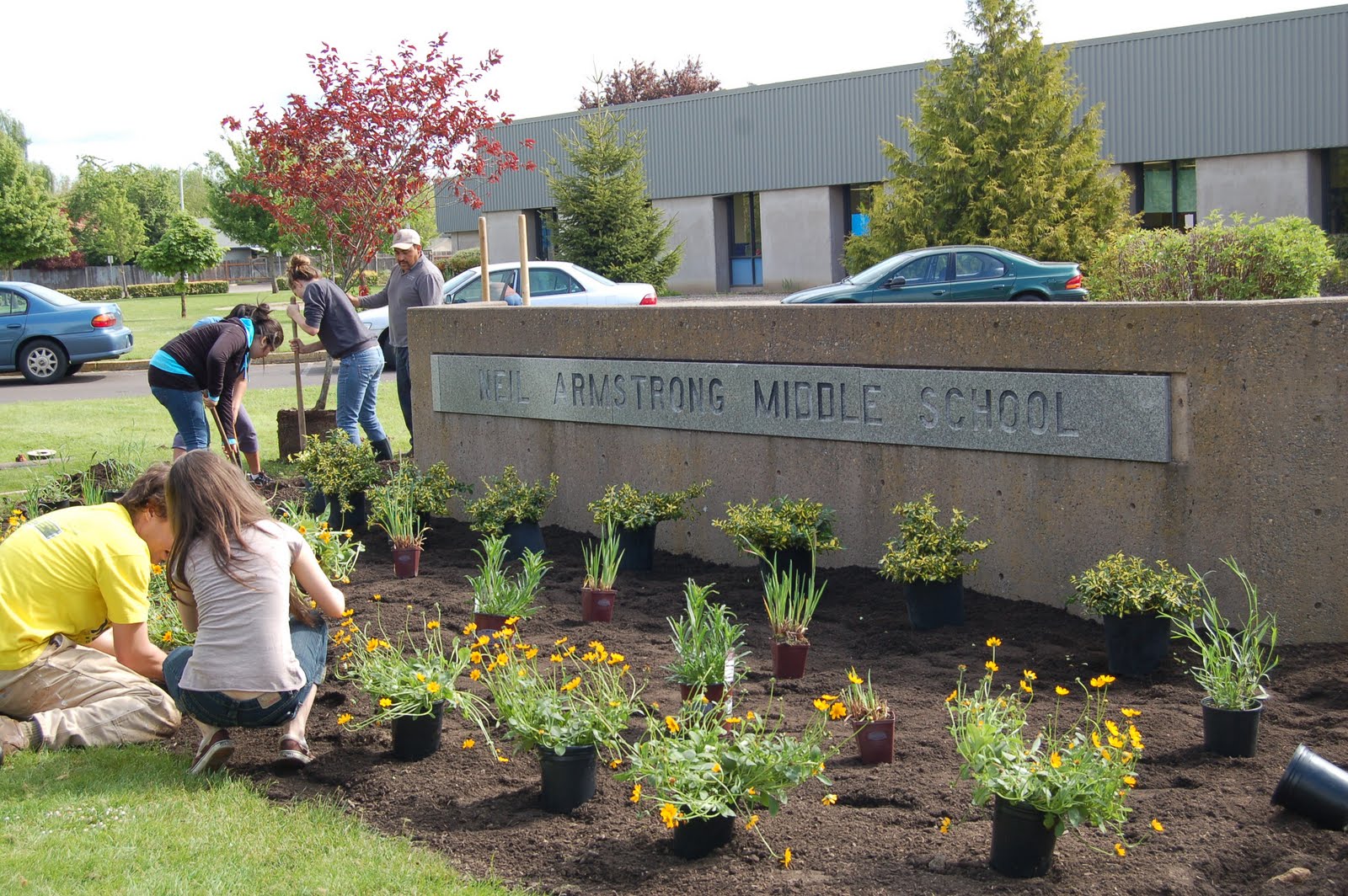 middle school got some new landscaping around the school entrance sign ...