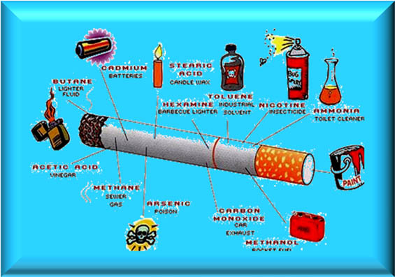  Zat  kandungan yang  ada di dalam  rokok  adanzsites