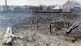 A black and white photograph of a torn up field covered in branches.