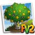 Farmville 2 Jatropha Ağacı Alma Hilesi