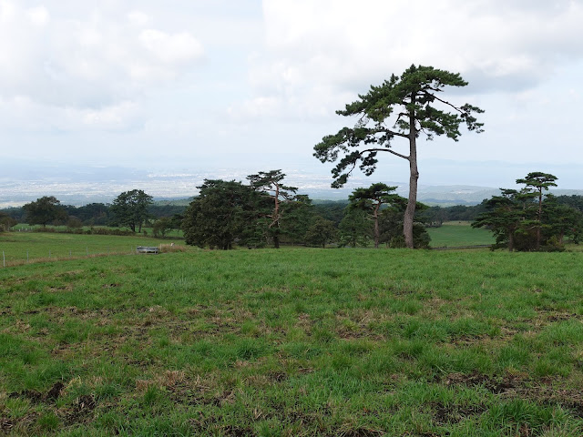 大山まきば