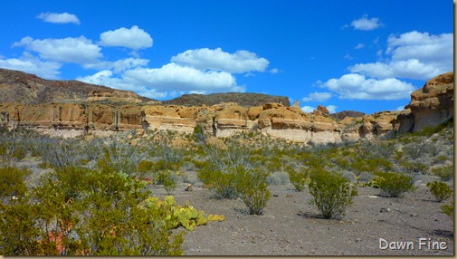 Big Bend Ranch State park_106