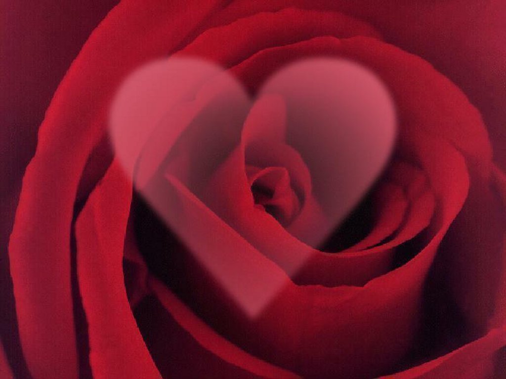 Gambar Dp BBM Bergerak Valentine Day Romantis 2016 Ucapan Selamat