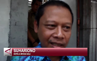 Bermodalkan uang 24 juta rupiah, Rai Suambawa di tahun 2008 membeli sejumlah Jalak Bali dari arena lomba kicau burung di Yogyakarta. Bersama warga Bongan lainnya, Rai Suambawa mampu mengembangbiakkan Jalak Bali hingga ribuan ekor. Kini, di lokasi penangkaran miliknya terdapat 100 pasang induk Jalak Bali yang siap untuk berkembangbiak.