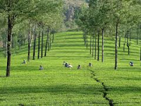 Kerala holidays tour packages