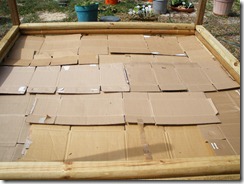 Cardboard bottom layer of bed 1