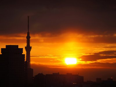 amanhecer Tokyo Sky Tree