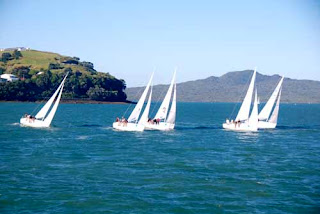 City of Sails Auckland New Zealand Sailboats