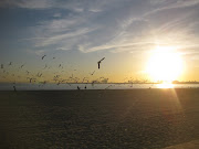 Anatomy of a Long Beach Sunset