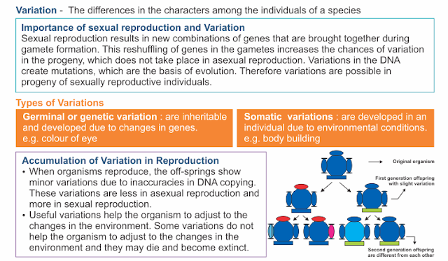 HEREDITY AND EVOLUTION