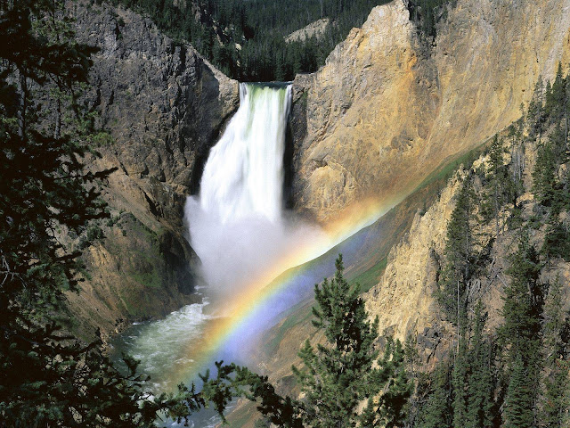 Yellowstone National Park